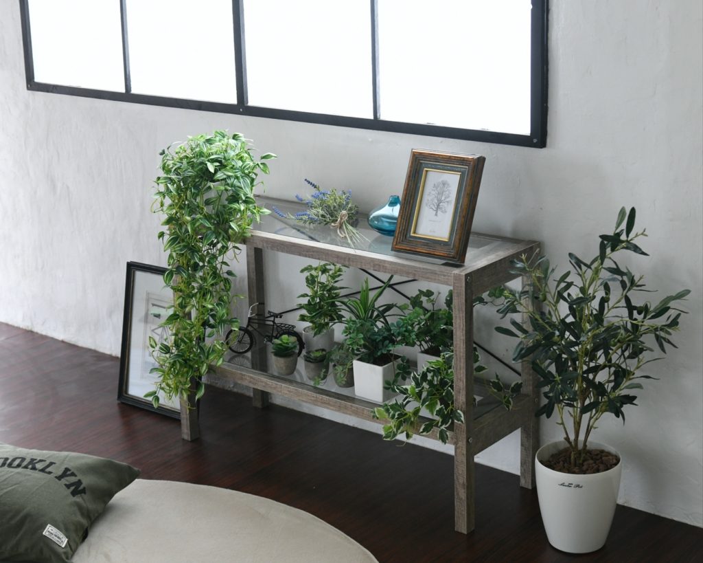 お部屋に緑を♡おすすめの観葉植物4選＆おしゃれな3つの飾り方