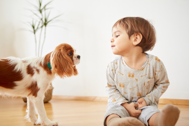 子供 と ペット と ストア スッキリ 暮らす