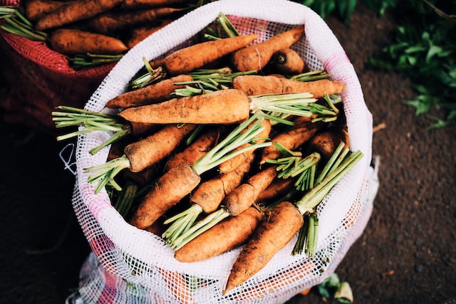 野菜の収納は常温がいい？美味しさを長持ちさせるポイント | COVEARTH MAGAZINE